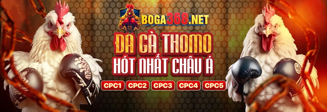 Chương trình VIP độc quyền