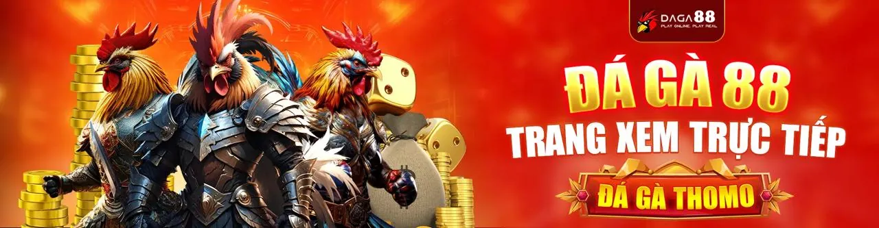 Cam kết chất lượng dịch vụ Solarbet
