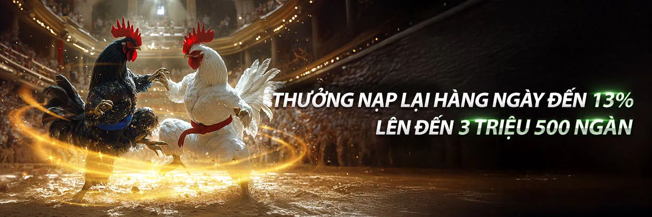 Đá Gà Trực Tuyến tại Solarbet Nhà Cái
